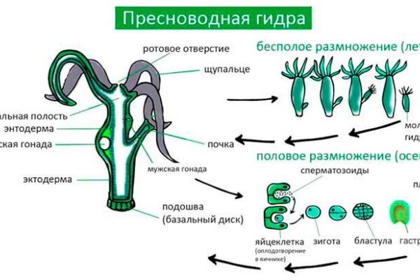 Маркет плей кракен