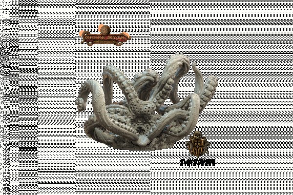 Kraken platform
