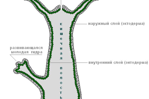 Кракен ссылка онион зеркало